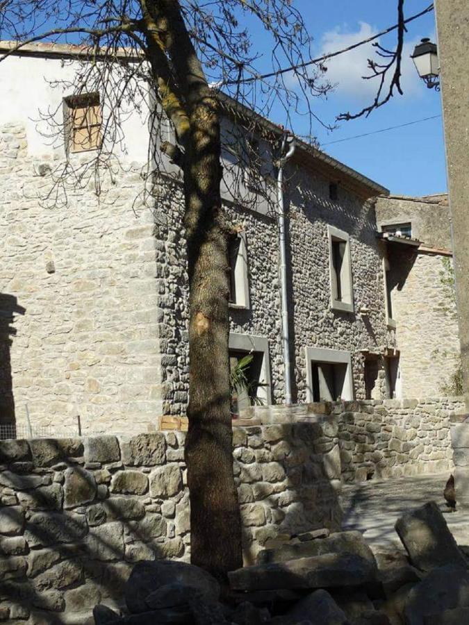 Villa Misanid Ecrin De Verdure A 15Mm De La Cite De Carcassonne Mas-des-Cours المظهر الخارجي الصورة